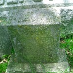 CIMG0232