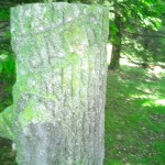 CIMG0236