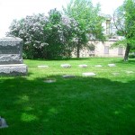 CIMG0239